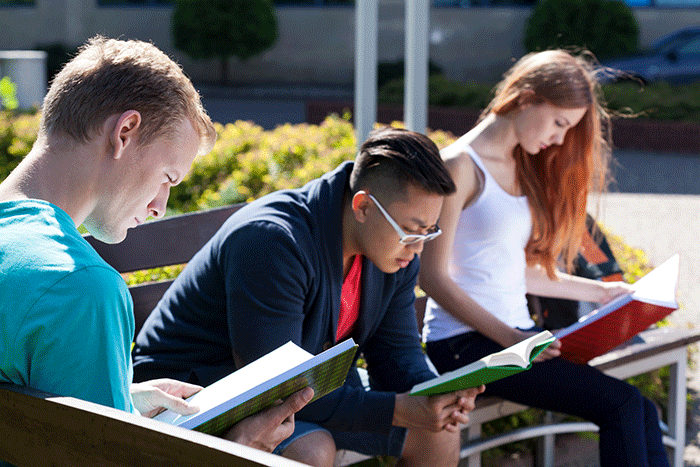 Group of students reading outside