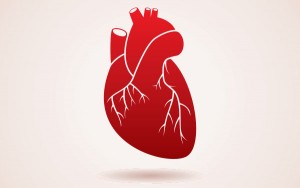 heart heart