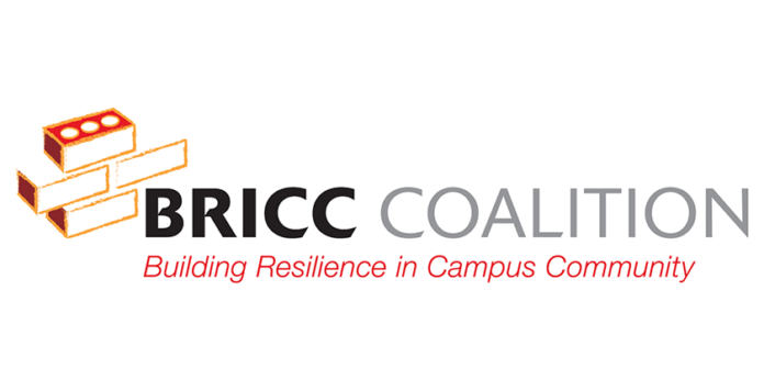 Bricc banner
