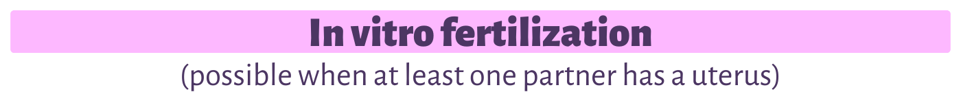 In vitro fertilization (possible when at least one partner has a uterus)