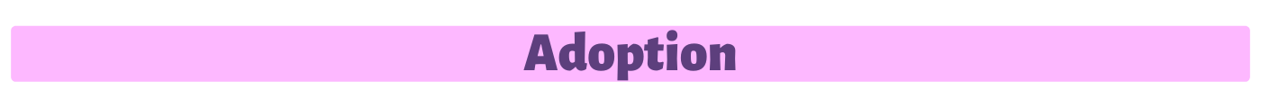 Adoption