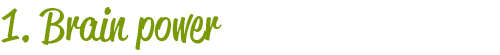 1. Brain power