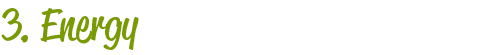 3. Energy