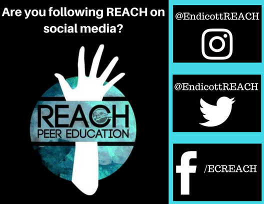 Are you Following REACH-