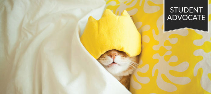 Student advocate: Cat sleeping in bed with eye mask on