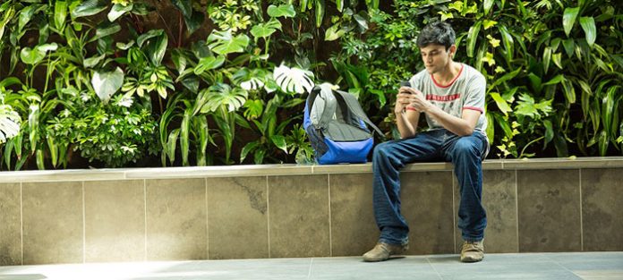 Young-man-on-social-media-outside Young-man-on-social-media-outside