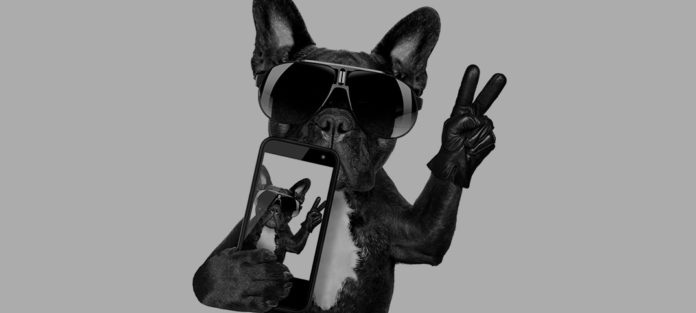 Dog taking a selfie