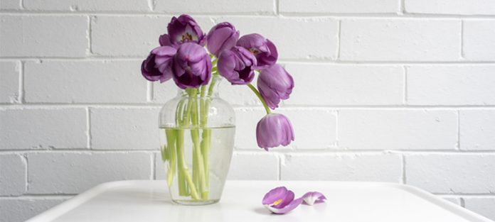 wilting flowers