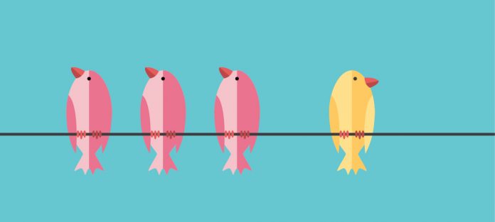 3 pink birds and 1 yellow birds 3 pink birds and 1 yellow birds