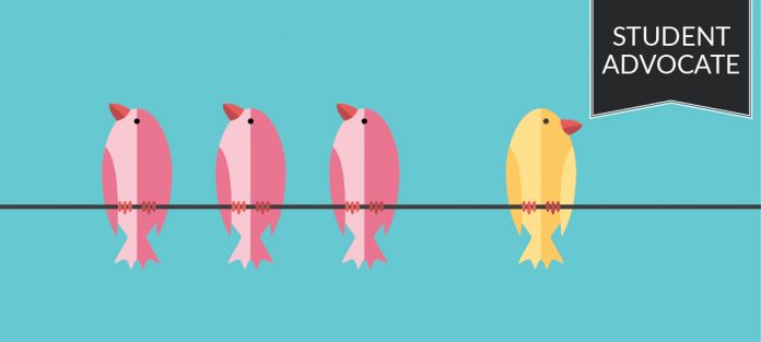 student advocate: three pink birds and one yellow bird