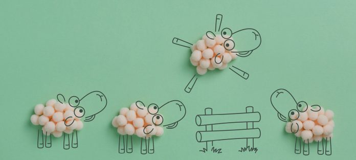 jumping sheep