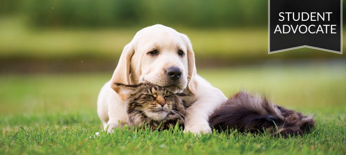 Student advocate: Dog resting on a cat